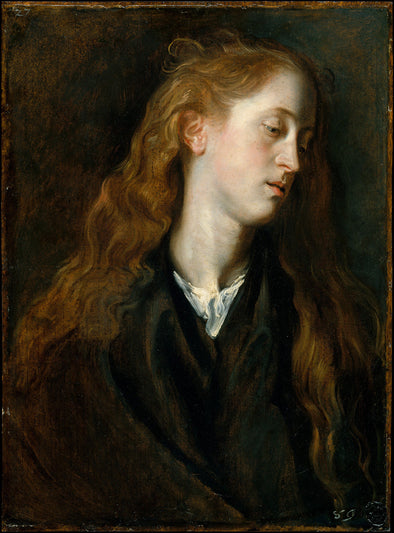 Sir Anthony van Dyck - Study Head of a Young Woman