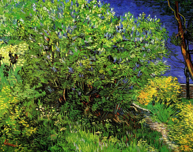 Vincent van Gogh - Lilacs