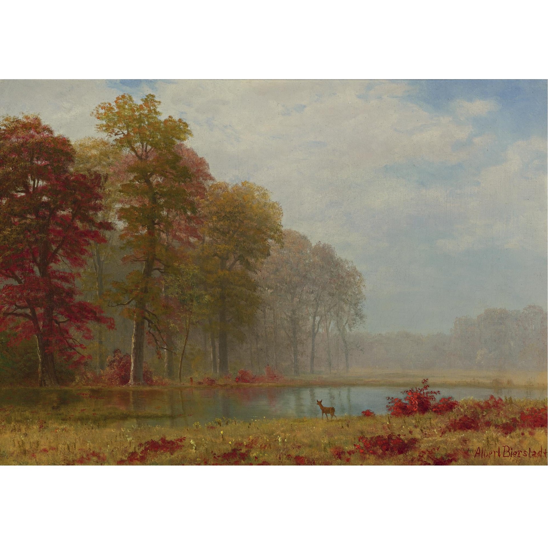 Landscapes in Art