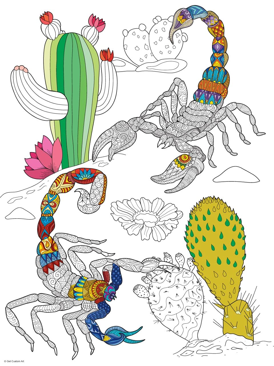 Scorpions Coloring Poster – Animal Art for Kids and Adults | DIY Stress Relief Coloring Poster