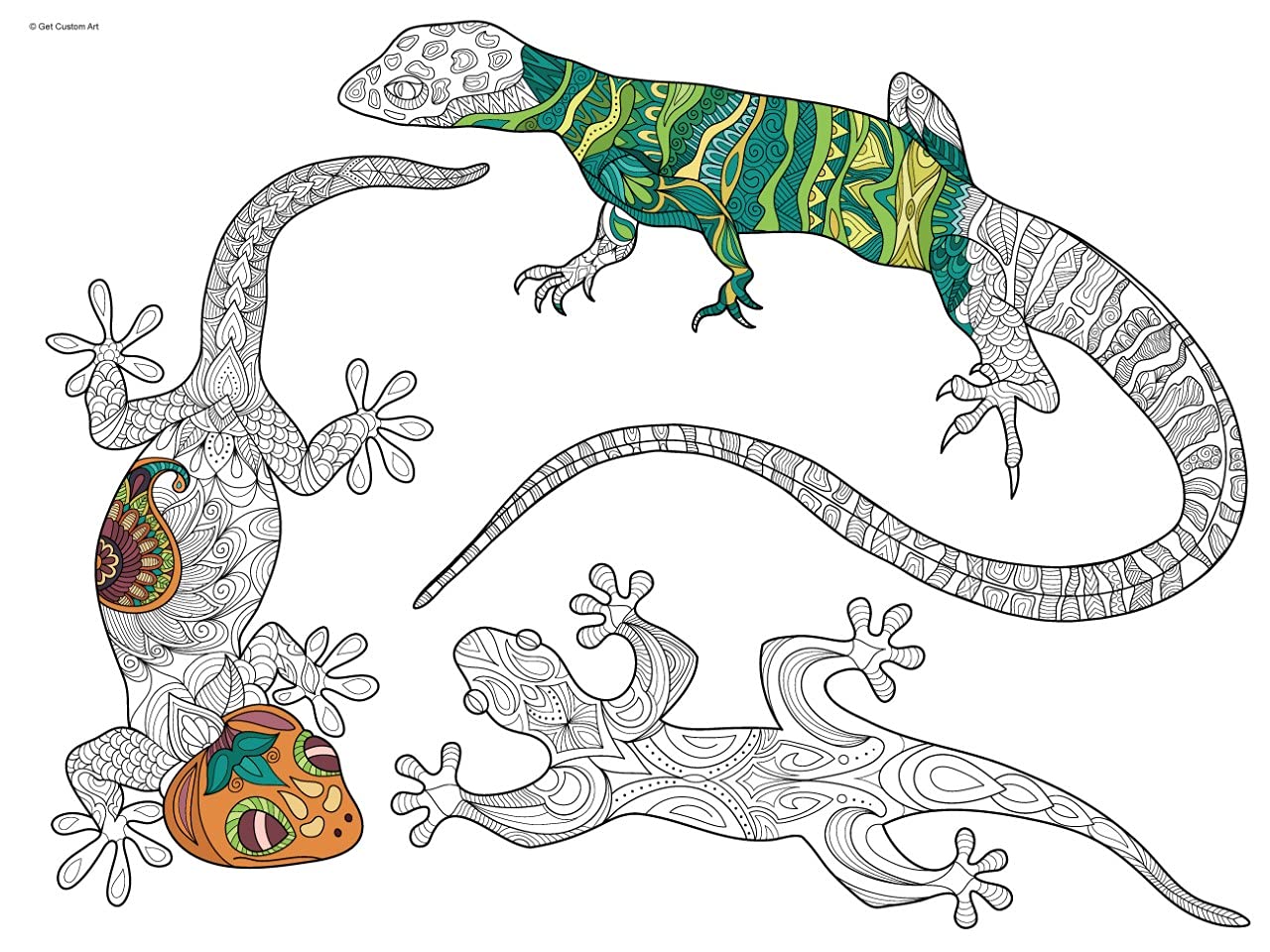 Lizards Coloring Poster – Animal Art for Kids and Adults | DIY Stress Relief Coloring Poster