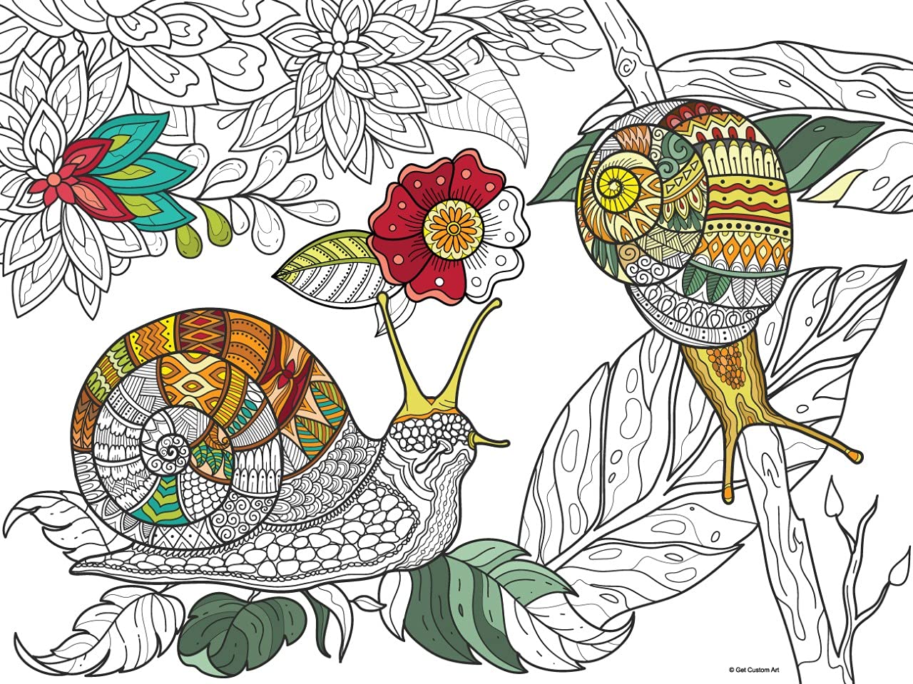 Snails Coloring Poster – Animal Art for Kids and Adults | DIY Stress Relief Coloring Poster