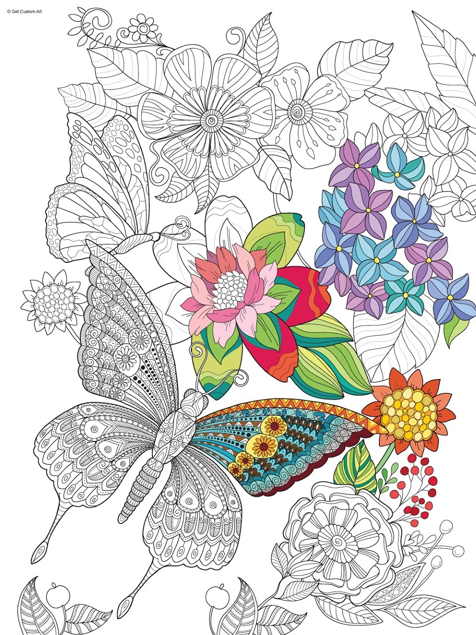 Beautiful Butterflies Coloring Poster – Butterfly Art for Kids and Adults | DIY Stress Relief Coloring Poster