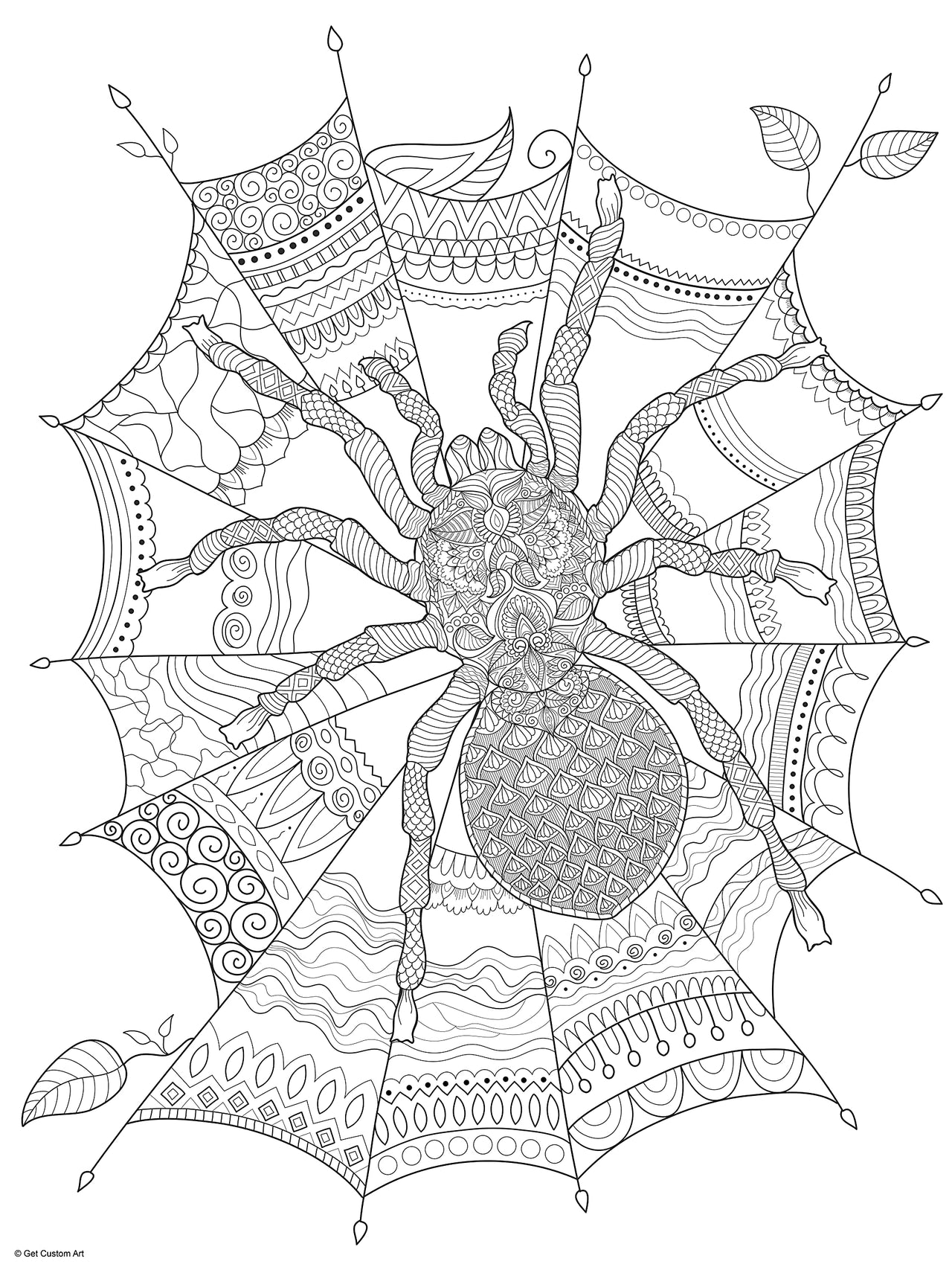 Spider and Web Coloring Poster – Arachnid Art for Kids and Adults | DIY Stress Relief Coloring Poster