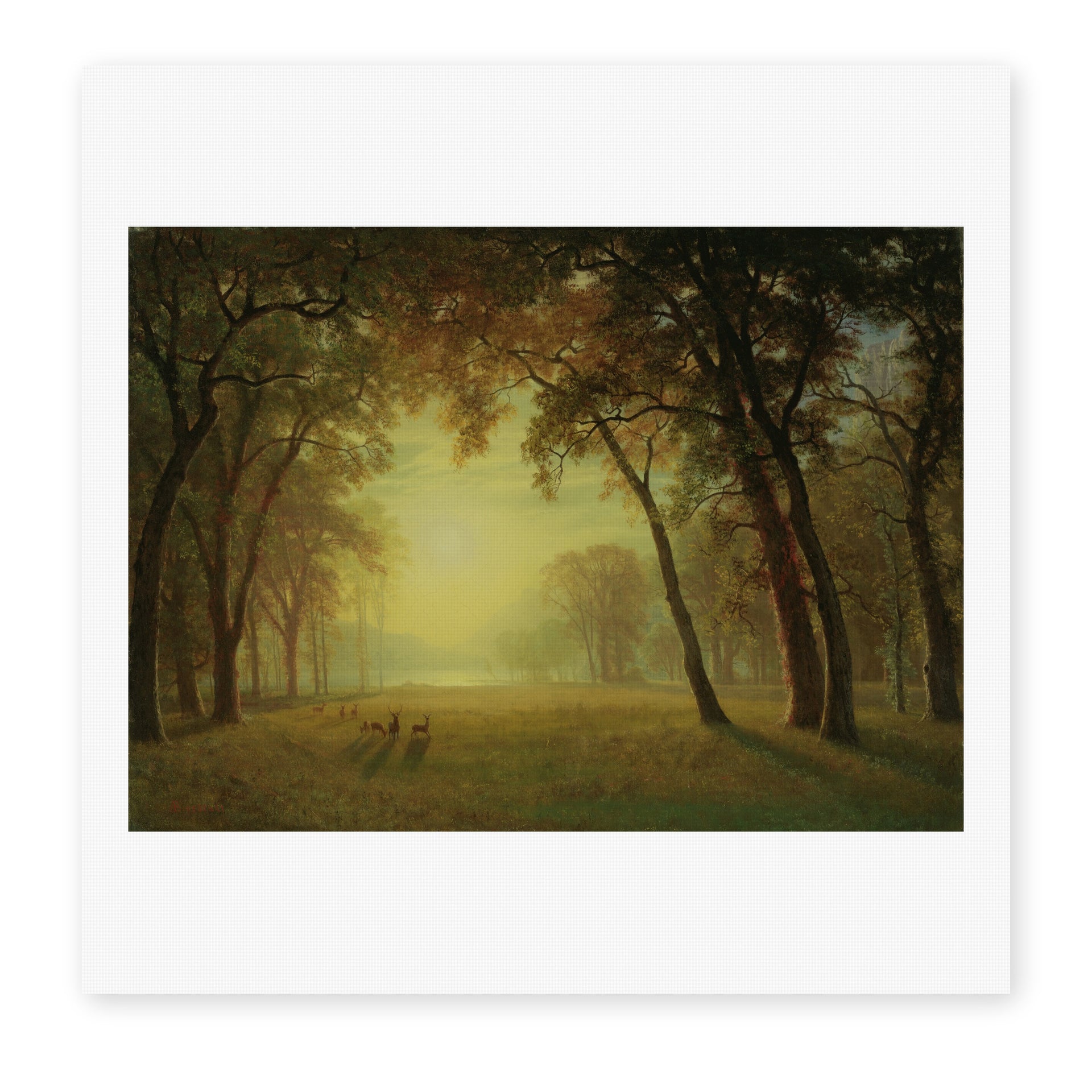 Albert Bierstadt's 'Deer in a clearing, Yosemite' painting reproduced as a rolled canvas print