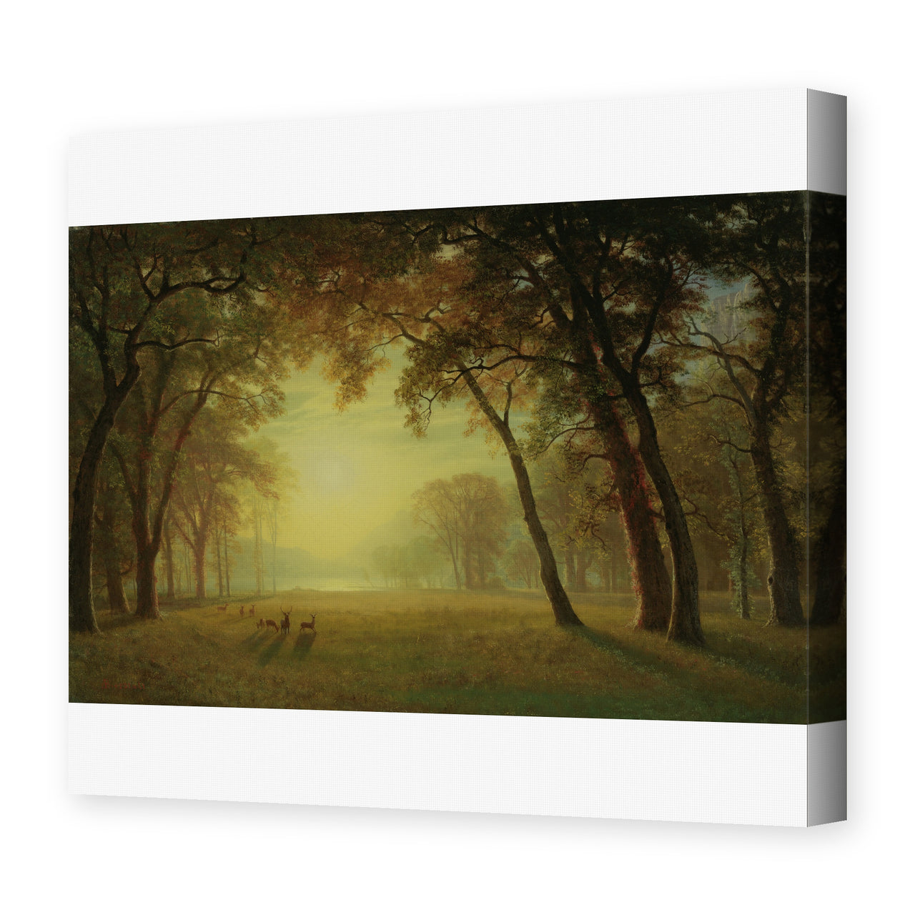 Albert Bierstadt's 'Deer in a clearing, Yosemite' painting reproduced as a gallery-wrapped canvas print