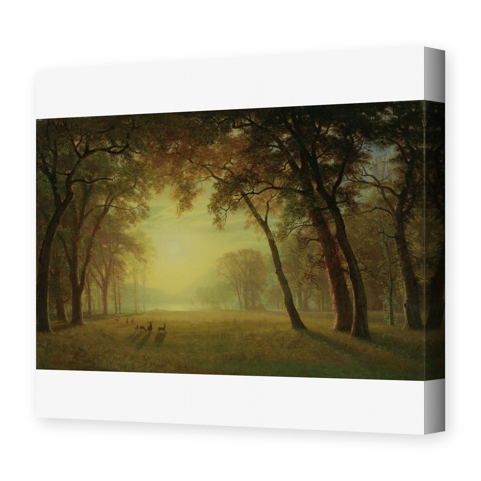 Albert Bierstadt's 'Deer in a clearing, Yosemite' painting reproduced as a gallery-wrapped canvas print