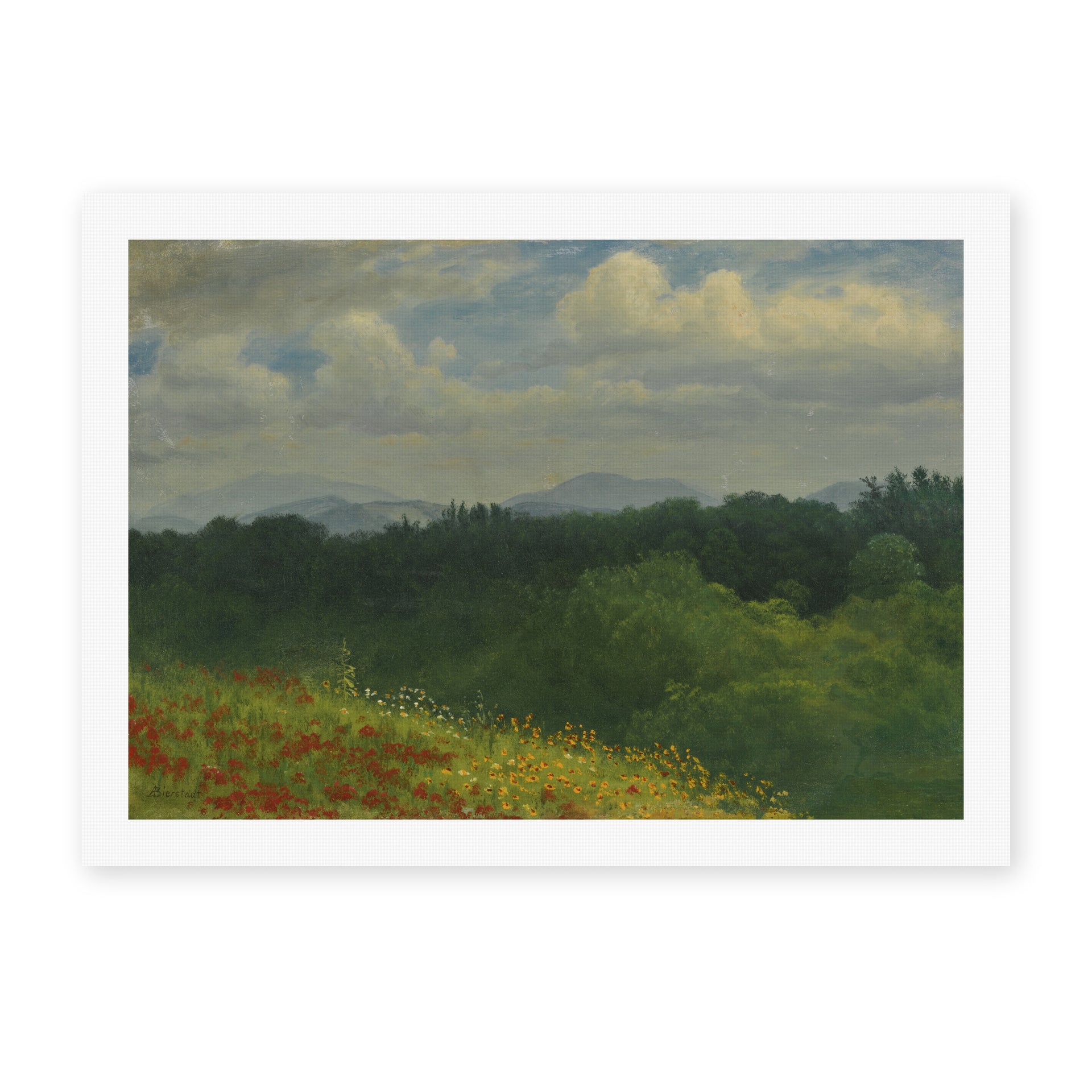 Albert Bierstadt's 'Field of red and yellow wildflowers' painting reproduced as a rolled canvas print
