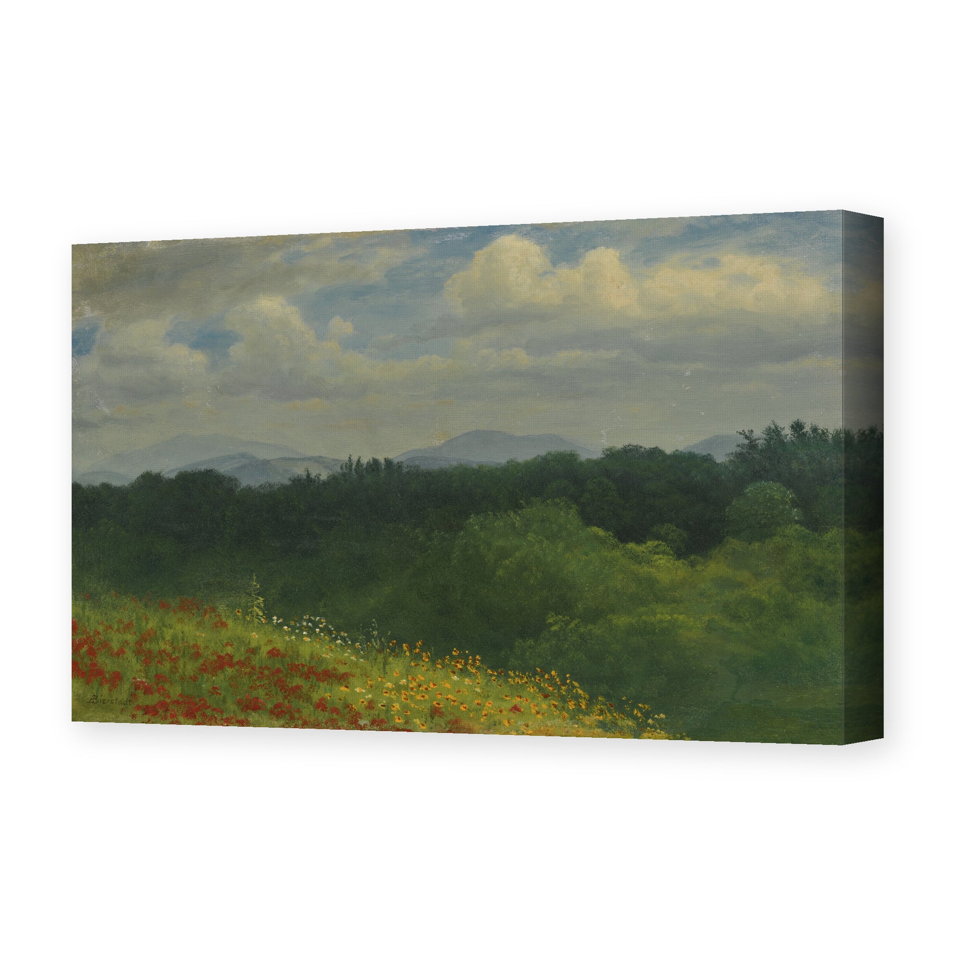 Albert Bierstadt's 'Field of red and yellow wildflowers' painting reproduced as a gallery-wrapped canvas print