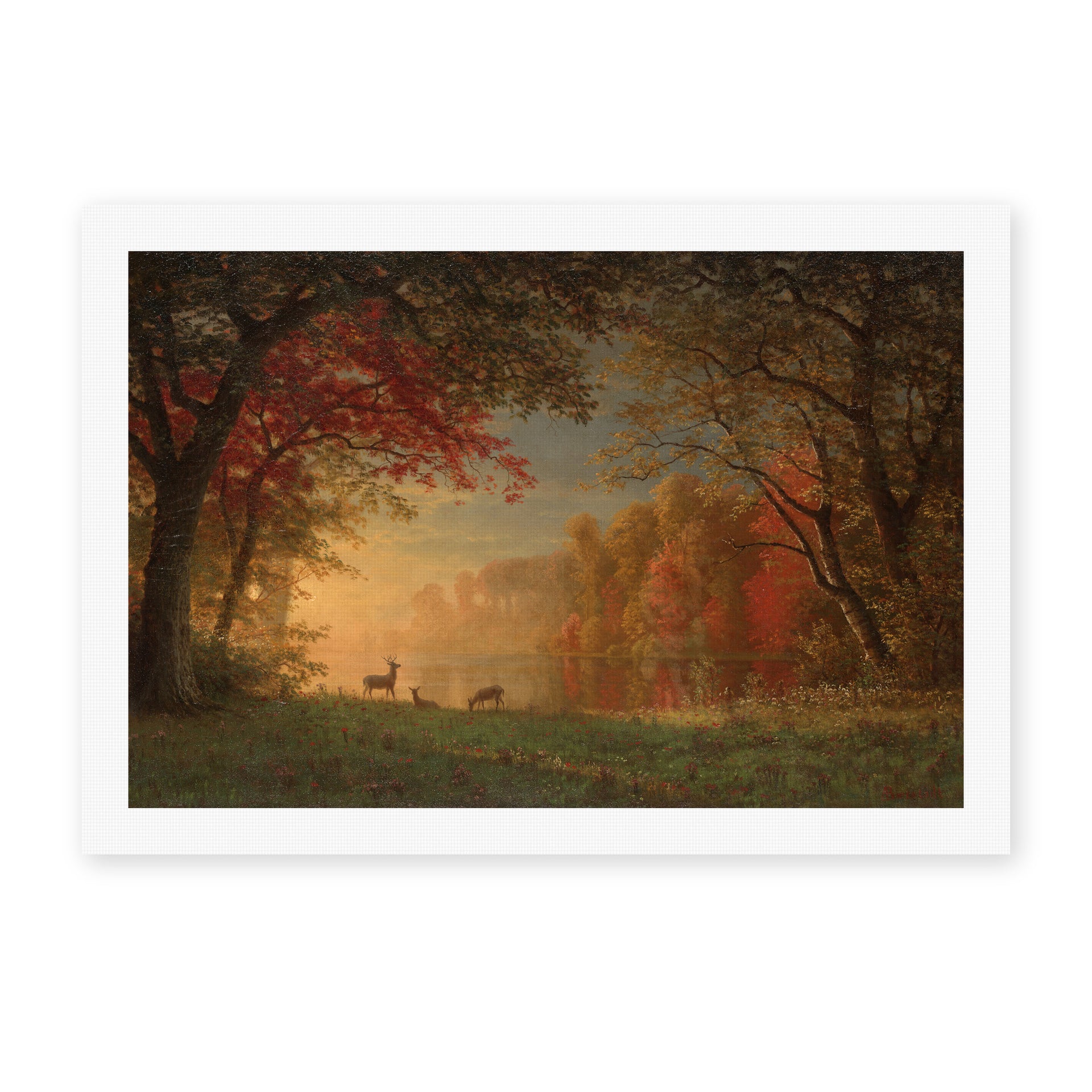 Albert Bierstadt's 'Indian Sunset: Deer by a Lake' painting reproduced as a rolled canvas print