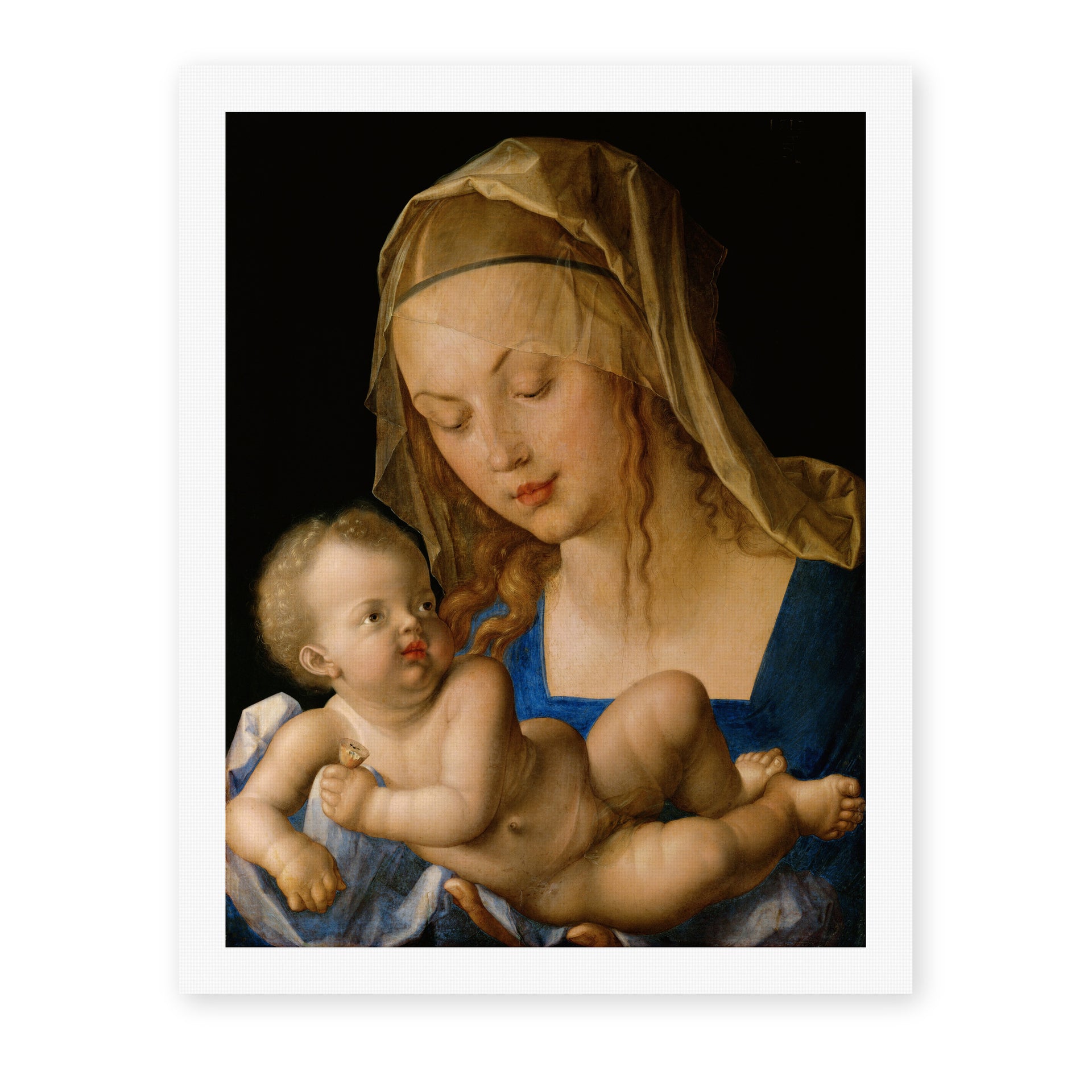 Albrecht Durer - Madonna of the Pear - canvas print hero