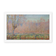Claude Monet's 'The Willows' painting reproduced as a rolled canvas print