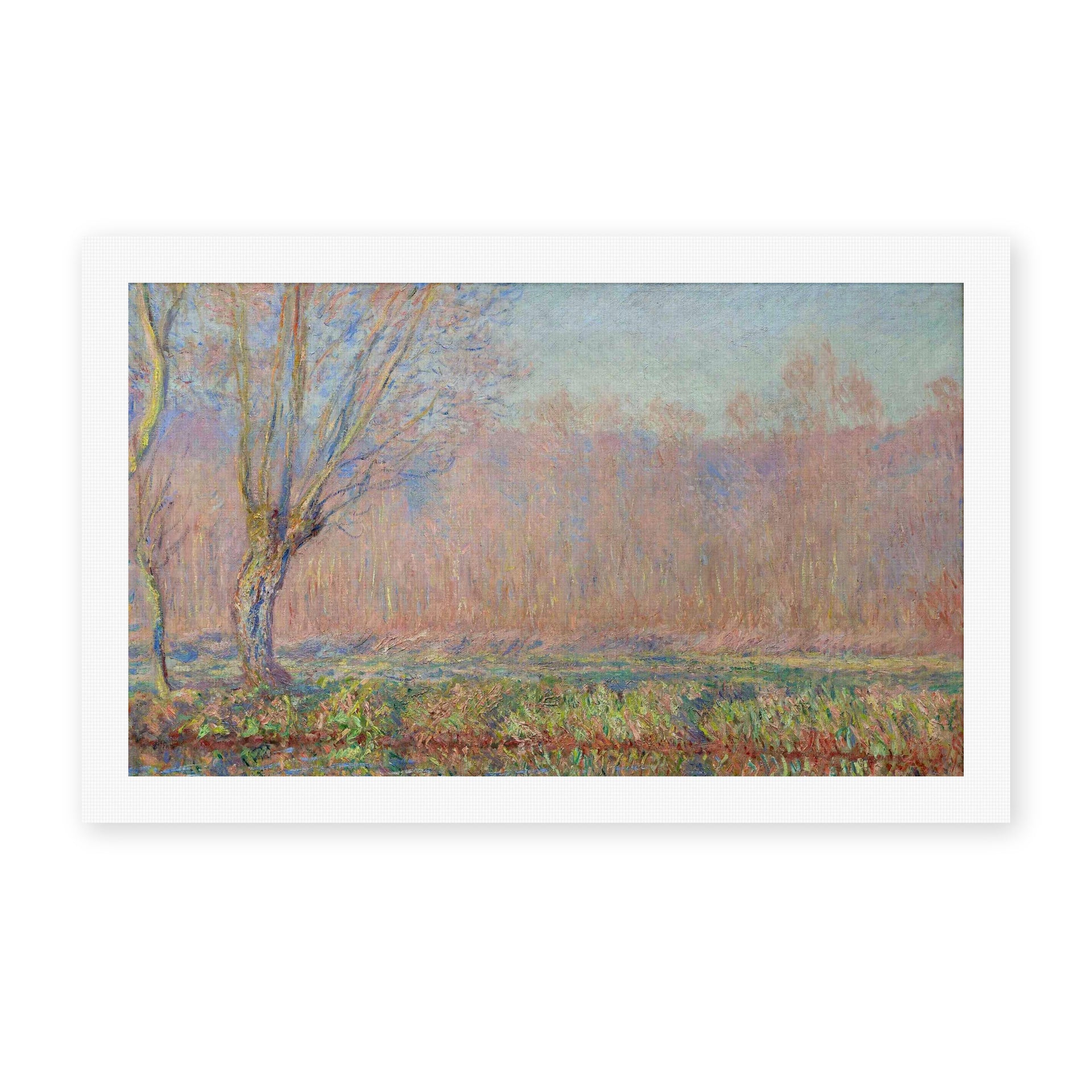 Claude Monet's 'The Willows' painting reproduced as a rolled canvas print
