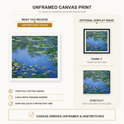 Claude Monet - Water Lilies canvas print size comparison and framing display infographic