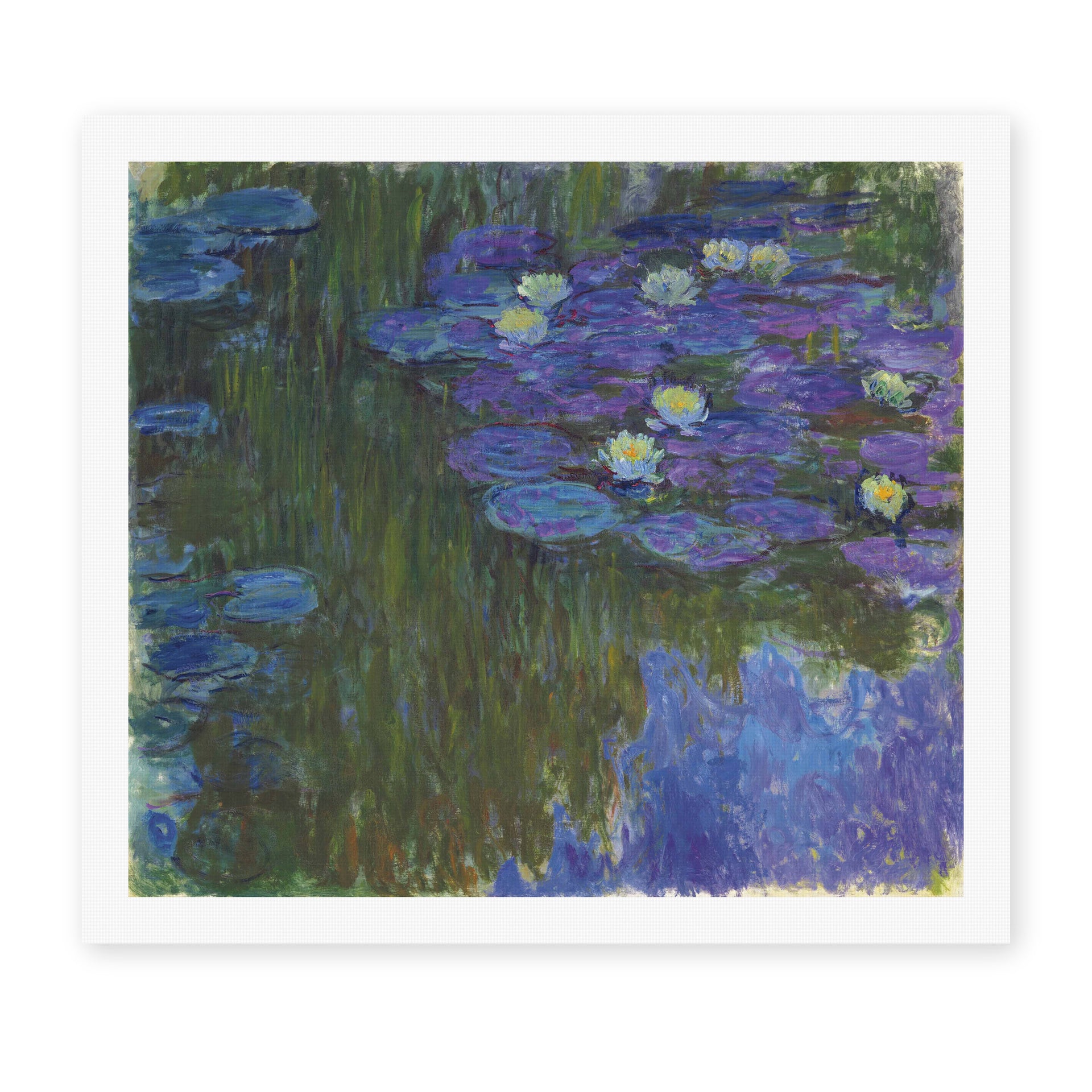 Claude Monet's 'Waterlilies in Bloom' painting reproduced as a rolled canvas print