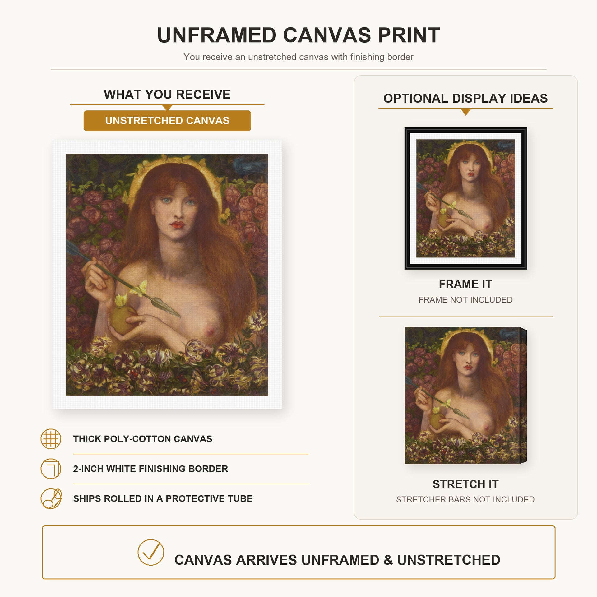 Dante Gabriel Rossetti - Venus Verticordia canvas print size comparison and framing display infographic