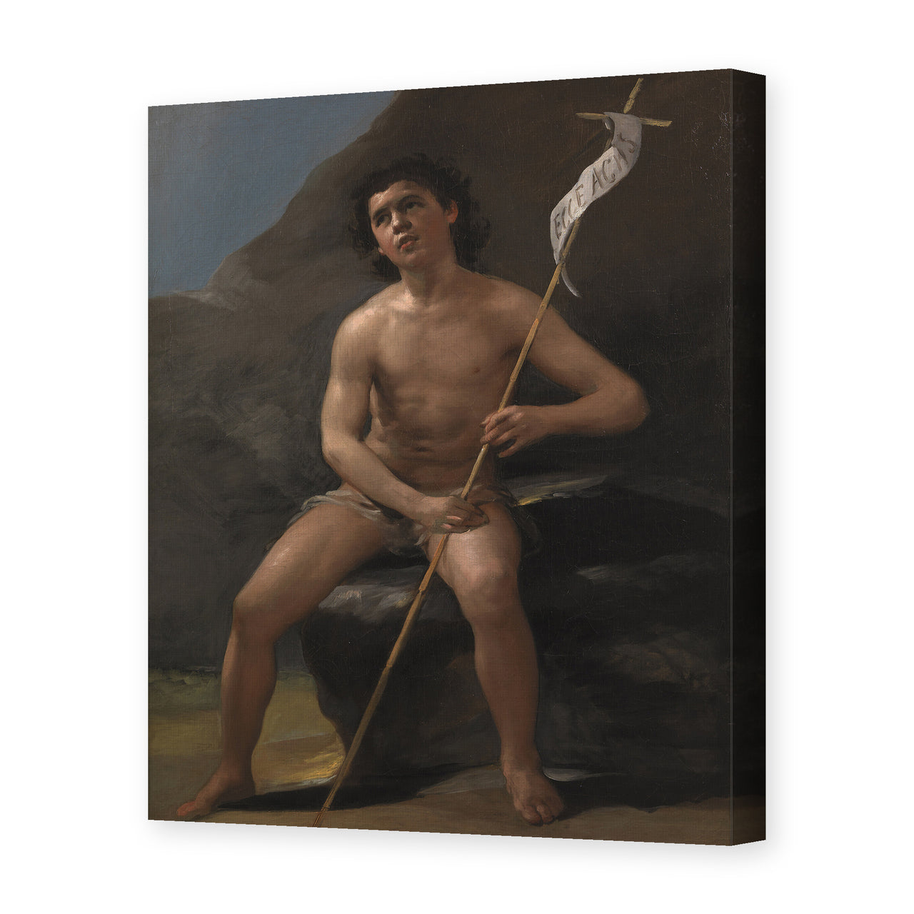 Francisco Goya's 'Saint John the Baptist as a Child in the Desert' painting reproduced as a gallery-wrapped canvas print