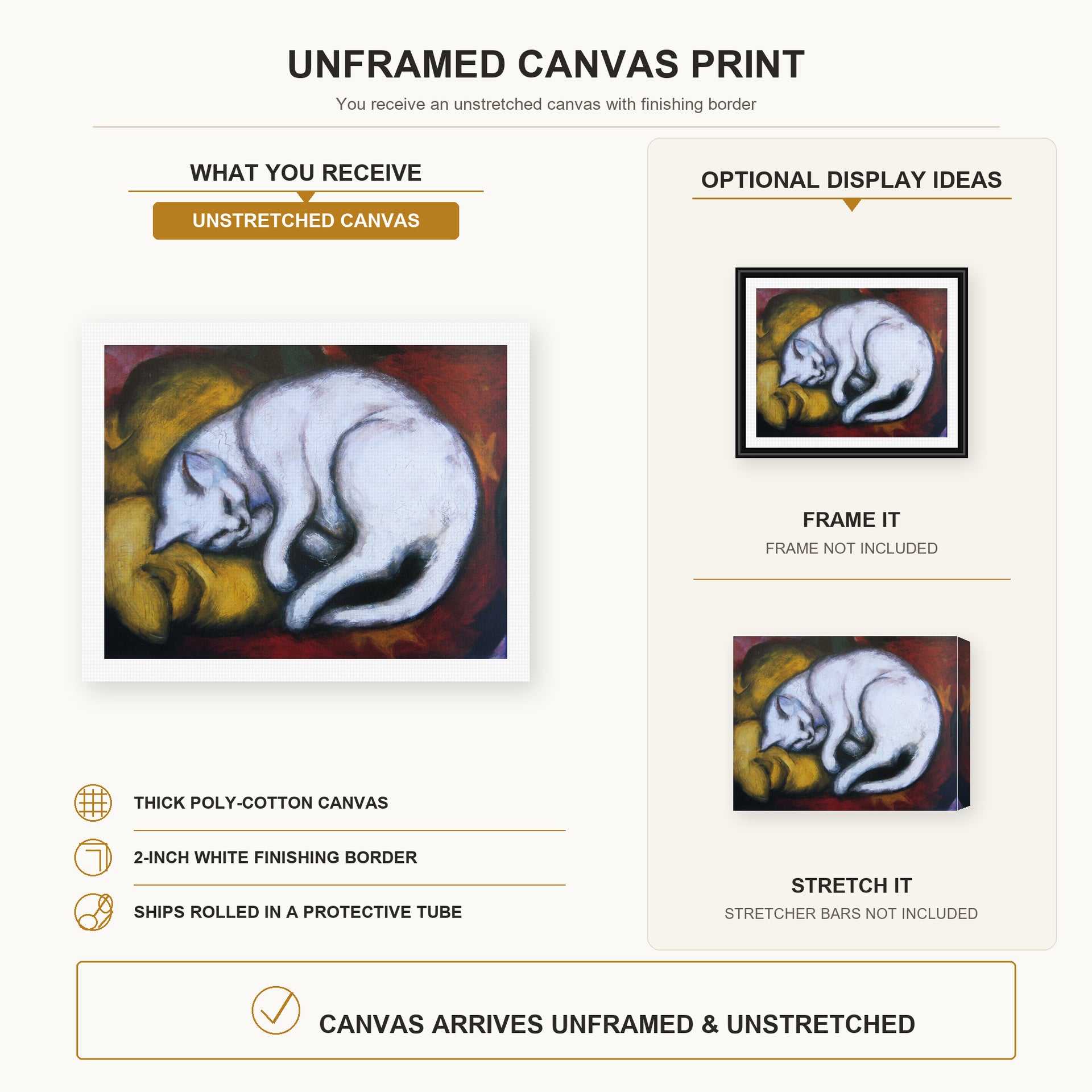 Franz Marc - The White Cat canvas print size comparison and framing display infographic