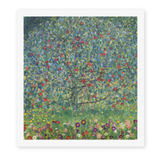 Gustav Klimt's 'Apple Tree' painting reproduced as a rolled canvas print