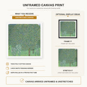 Gustav Klimt - Rose Bushes Under Trees canvas print size comparison and framing display infographic