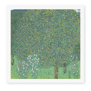 Gustav Klimt's 'Rose Bushes Under Trees' painting reproduced as a rolled canvas print