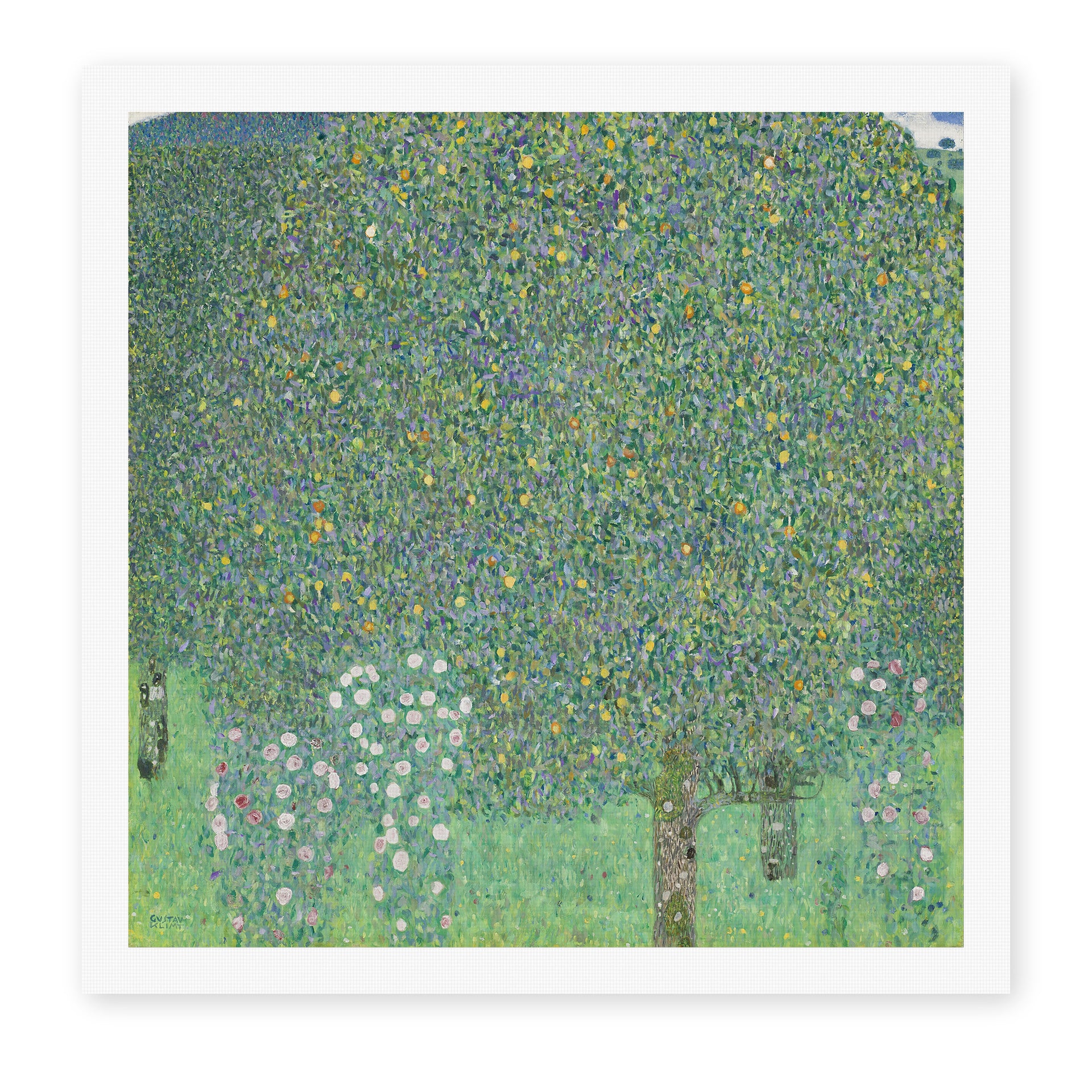 Gustav Klimt's 'Rose Bushes Under Trees' painting reproduced as a rolled canvas print