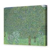 Gustav Klimt's 'Rose Bushes Under Trees' painting reproduced as a gallery-wrapped canvas print