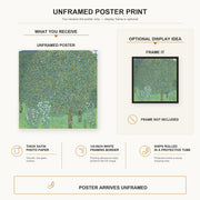 Gustav Klimt - Rose Bushes Under Trees poster print size comparison and framing display infographic
