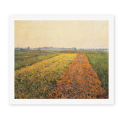 Gustave Caillebotte's 'The Yellow Fields at Gennevilliers' painting reproduced as a rolled canvas print