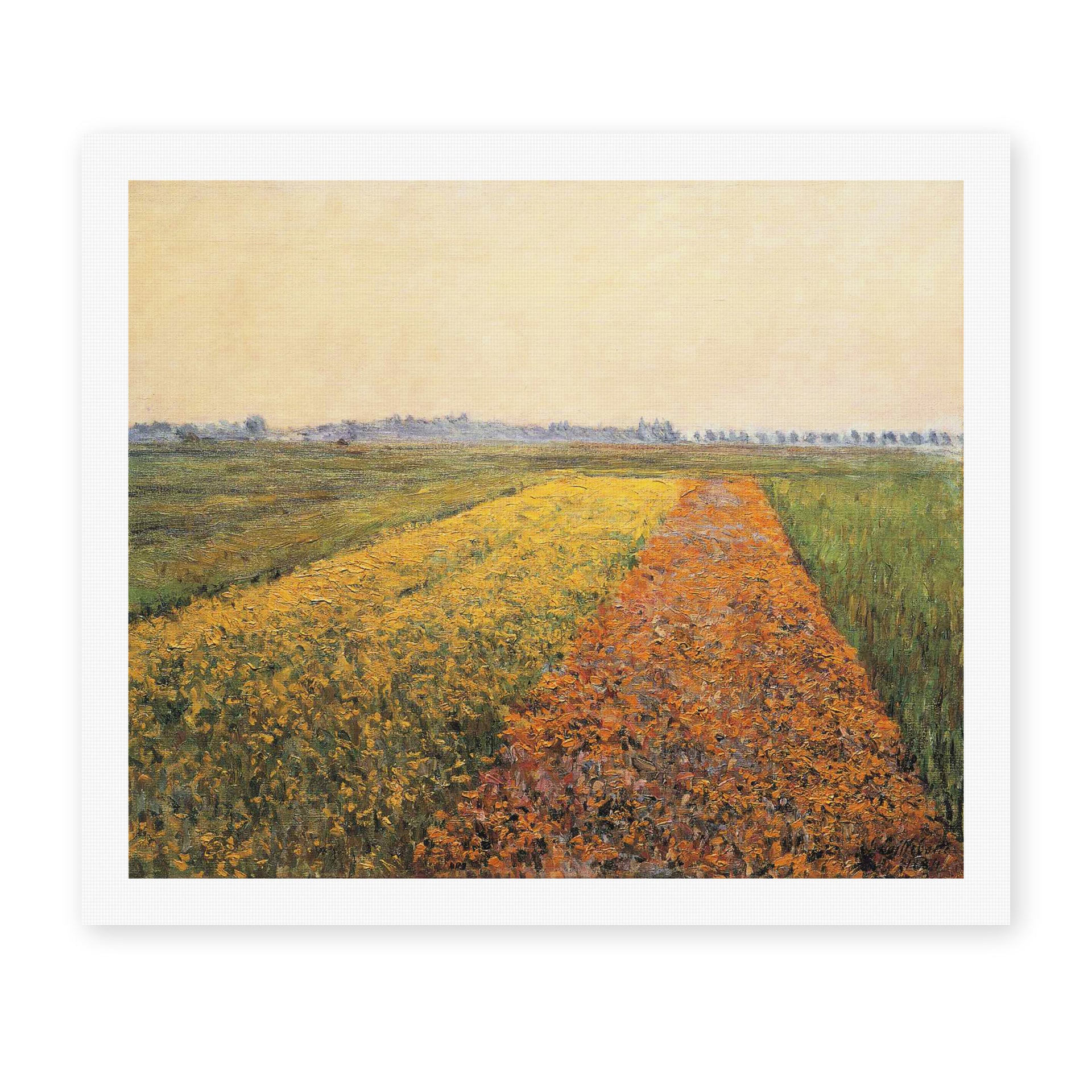 Gustave Caillebotte's 'The Yellow Fields at Gennevilliers' painting reproduced as a rolled canvas print