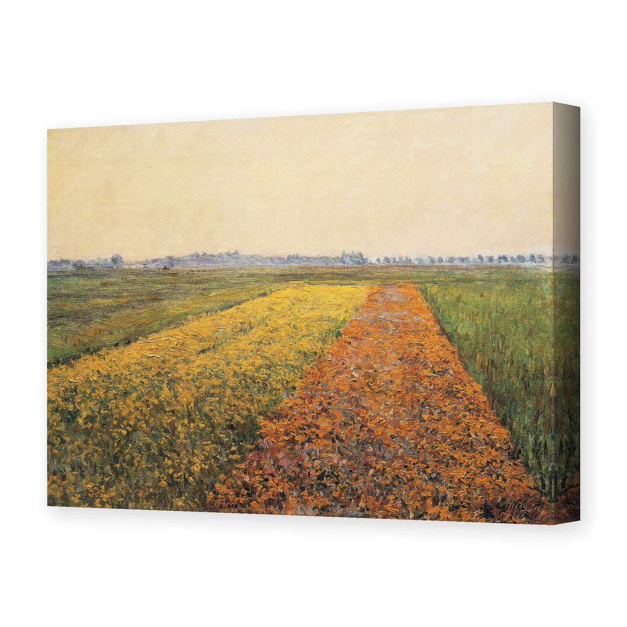 Gustave Caillebotte's 'The Yellow Fields at Gennevilliers' painting reproduced as a gallery-wrapped canvas print