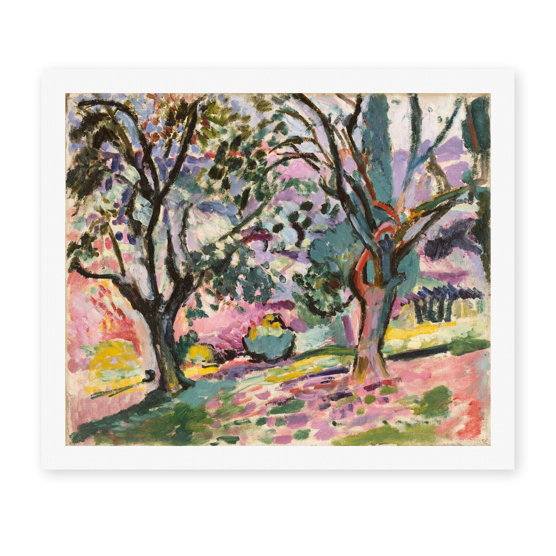 Henri Matisse's Olive Trees at Collioure painting reproduced as a rolled canvas print