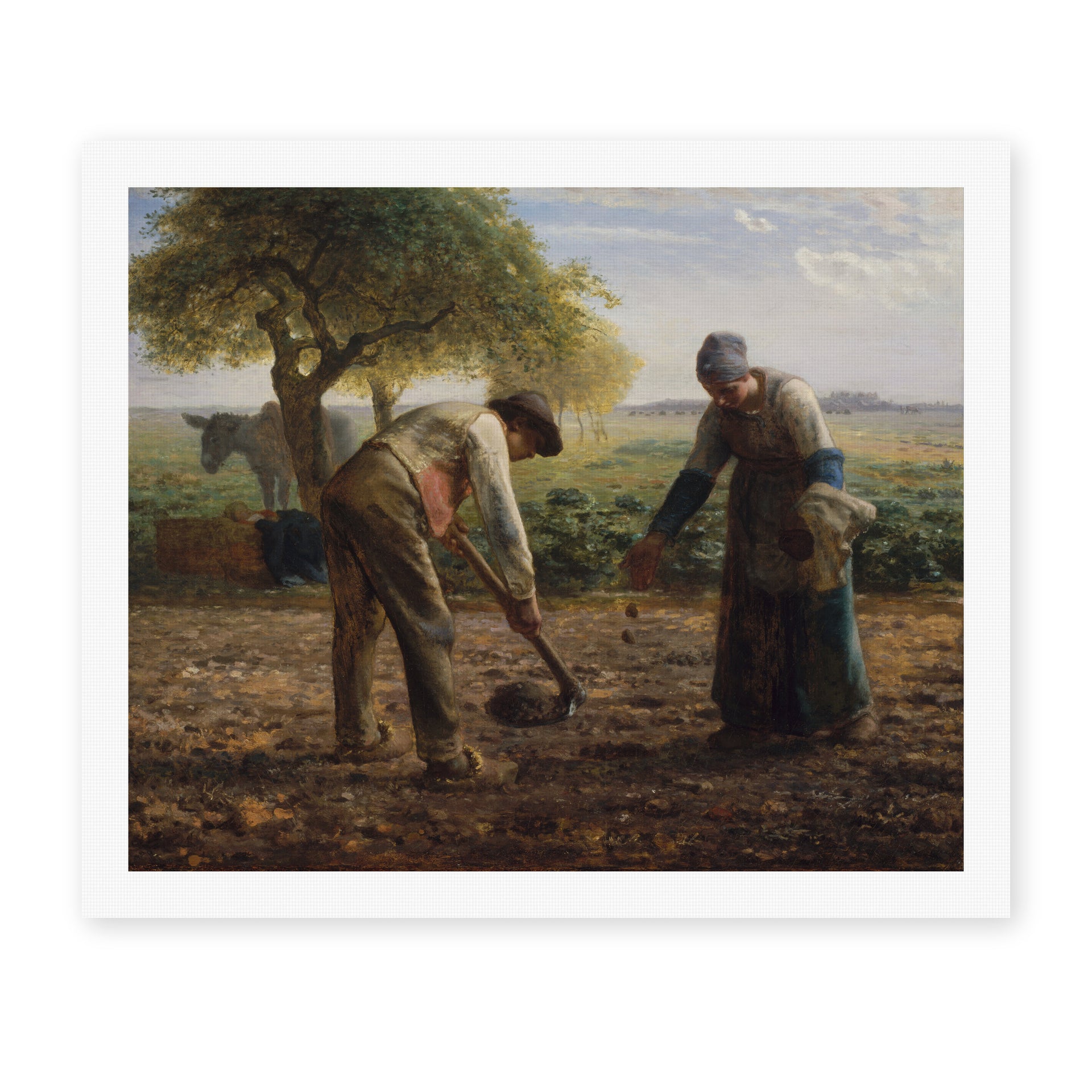 Jean-Francois Millet's 'Potato Planters' painting reproduced as a rolled canvas print