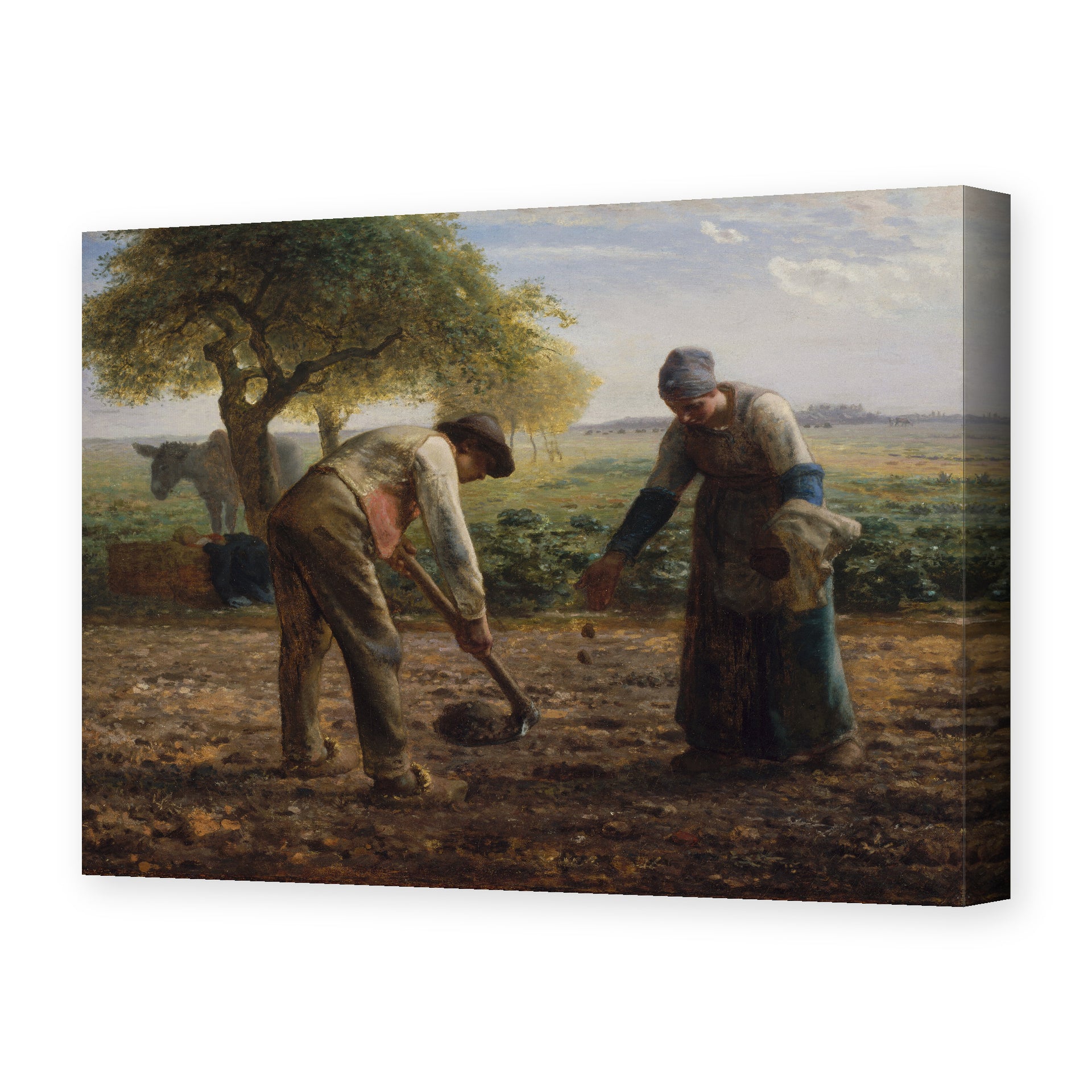 Jean-Francois Millet's 'Potato Planters' painting reproduced as a gallery-wrapped canvas print