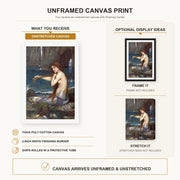 John William Waterhouse - A Mermaid canvas print size comparison and framing display infographic