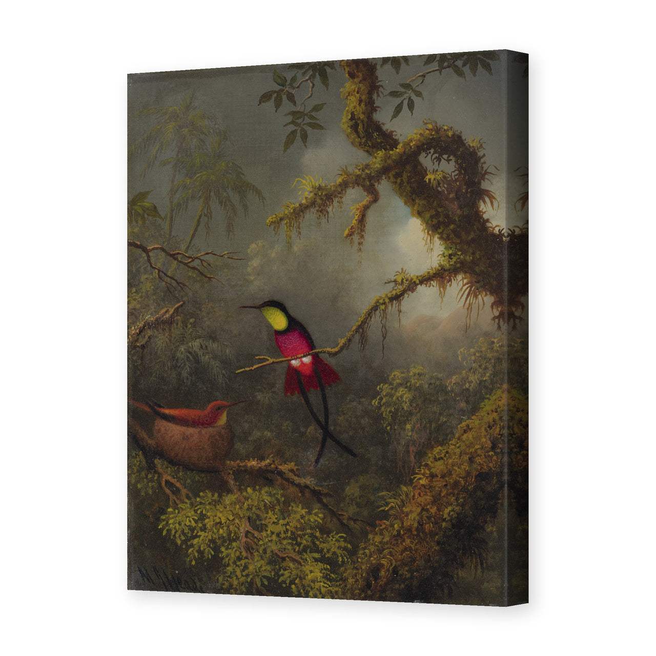 Martin Johnson Heade's 'A Pair of Nesting Crimson Topaz Hummingbirds' painting reproduced as a gallery-wrapped canvas print