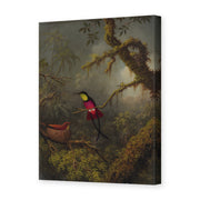 Martin Johnson Heade's 'A Pair of Nesting Crimson Topaz Hummingbirds' painting reproduced as a gallery-wrapped canvas print
