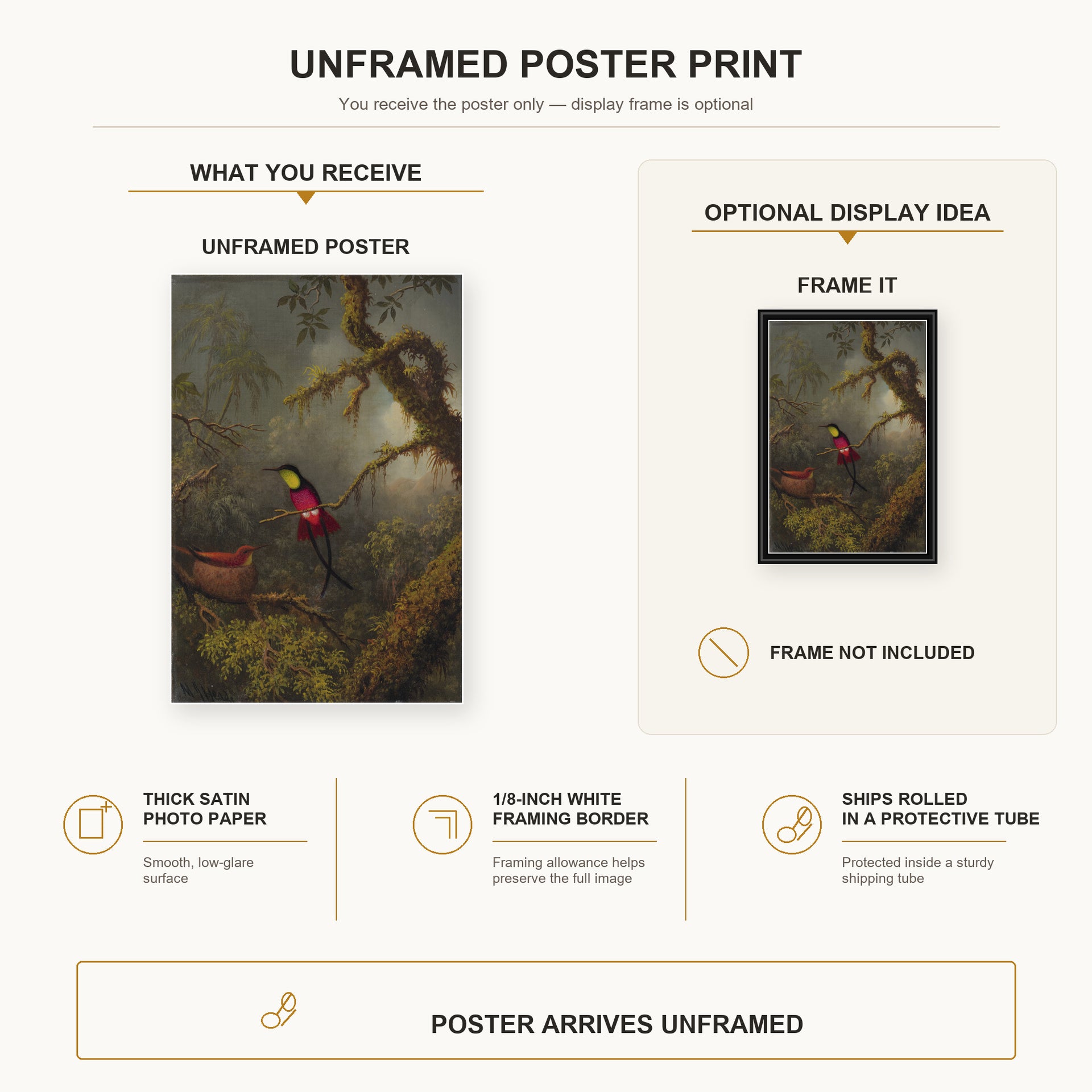 Martin Johnson Heade - A Pair of Nesting Crimson Topaz Hummingbirds poster print size comparison and framing display infographic