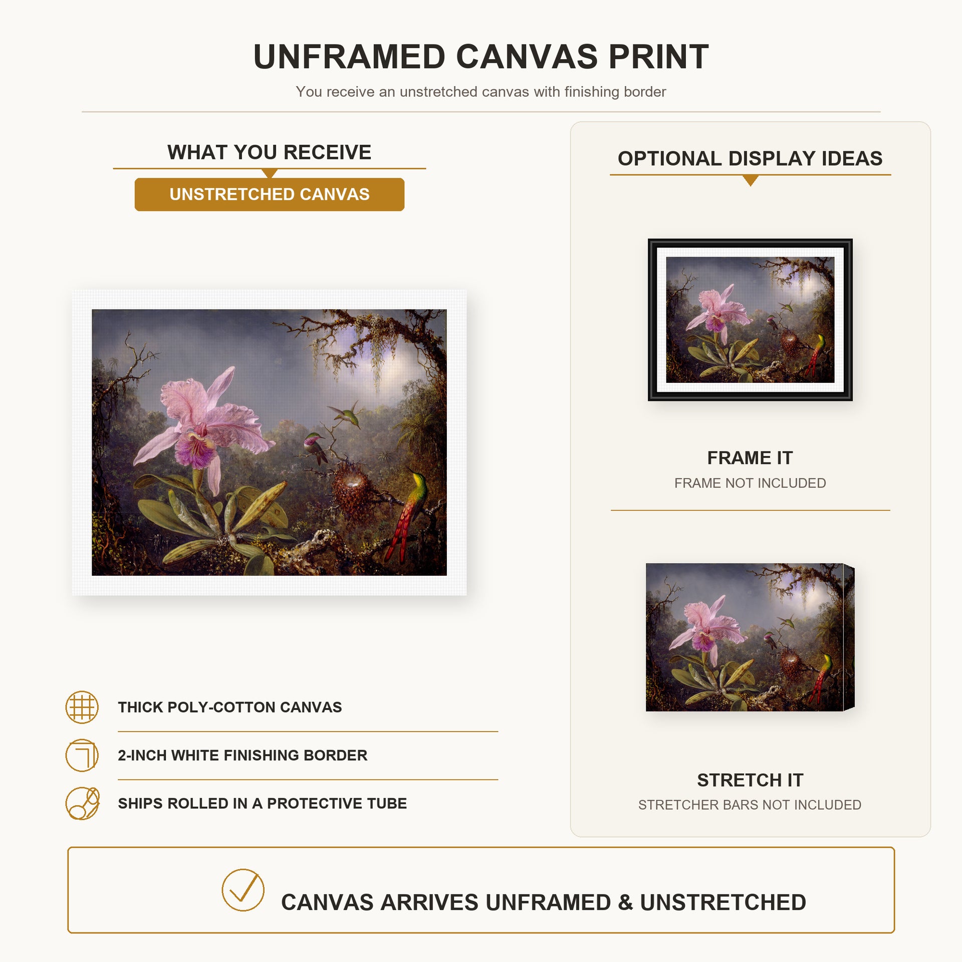 Martin Johnson Heade - Cattleya Orchid and Three Hummingbirds canvas print size comparison and framing display infographic