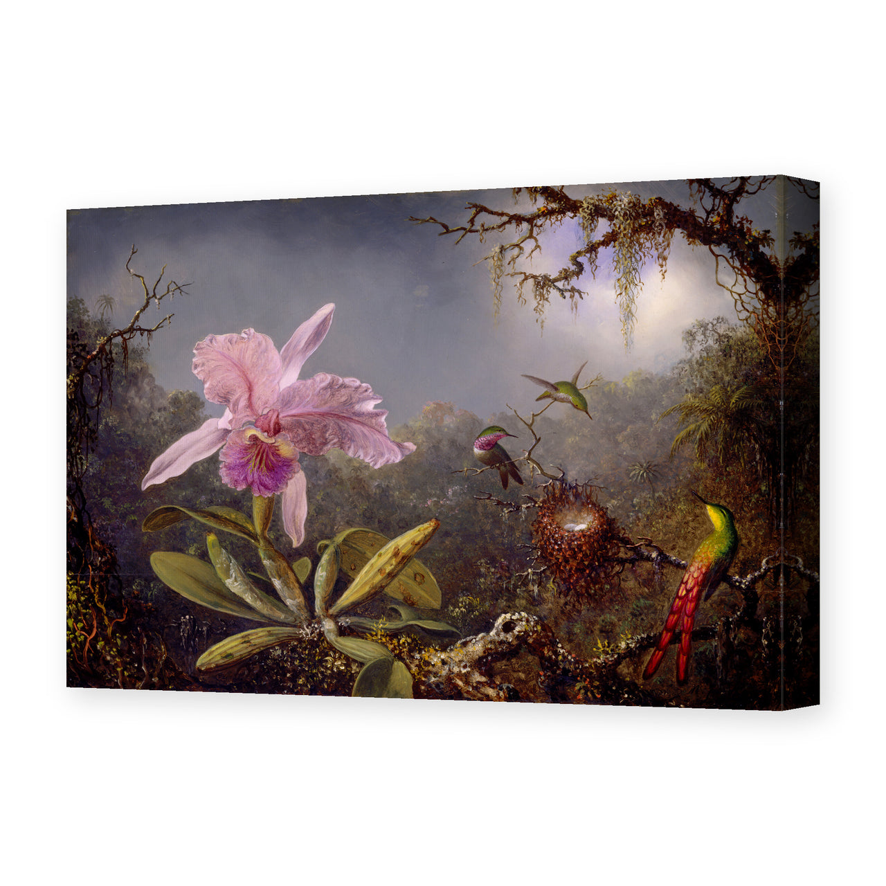 Martin Johnson Heade's 'Cattleya Orchid and Three Hummingbirds' painting reproduced as a gallery-wrapped canvas print