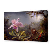 Martin Johnson Heade's 'Cattleya Orchid and Three Hummingbirds' painting reproduced as a gallery-wrapped canvas print