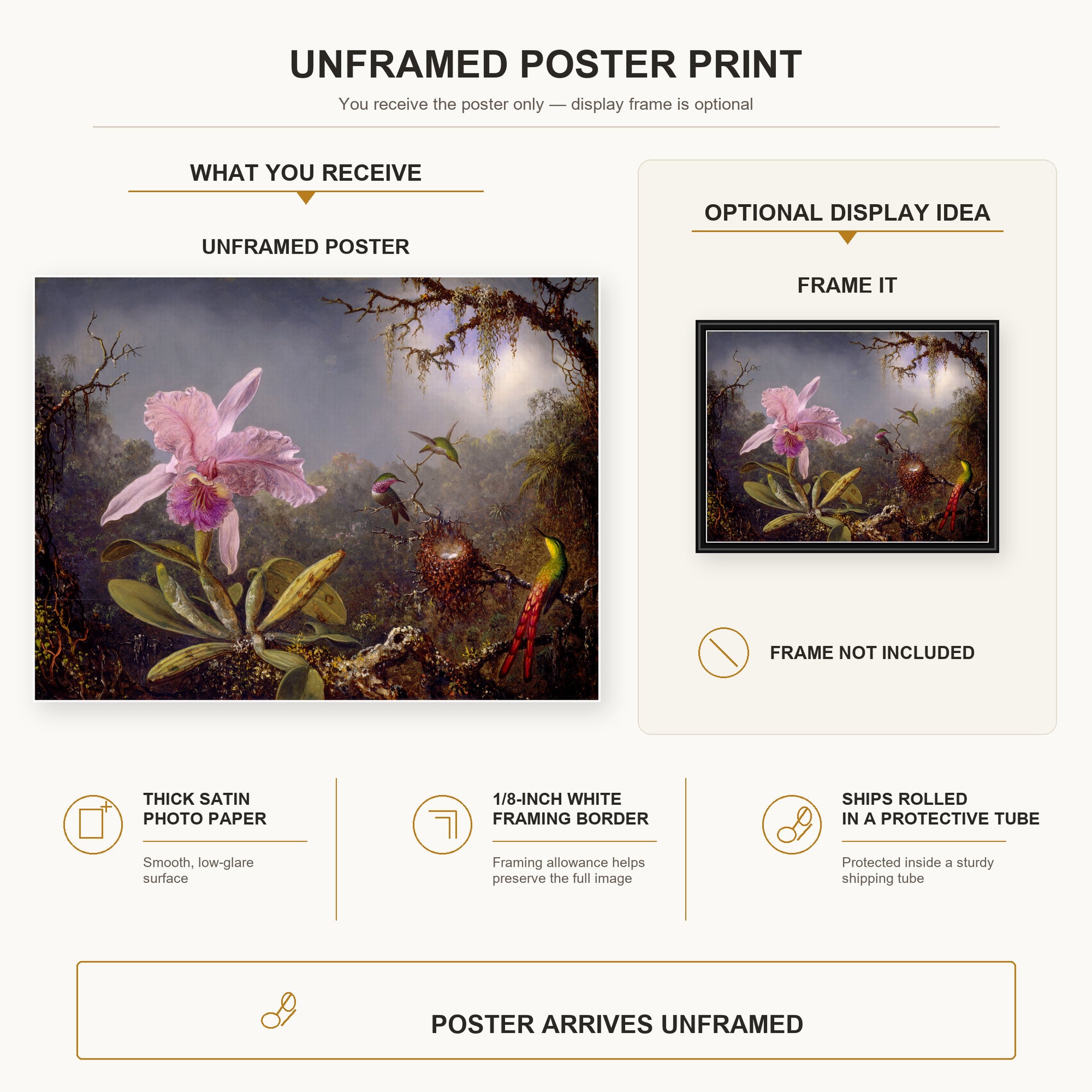 Martin Johnson Heade - Cattleya Orchid and Three Hummingbirds poster print size comparison and framing display infographic