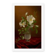 Martin Johnson Heade's 'Cherokee Roses in a Glass' painting reproduced as a rolled canvas print