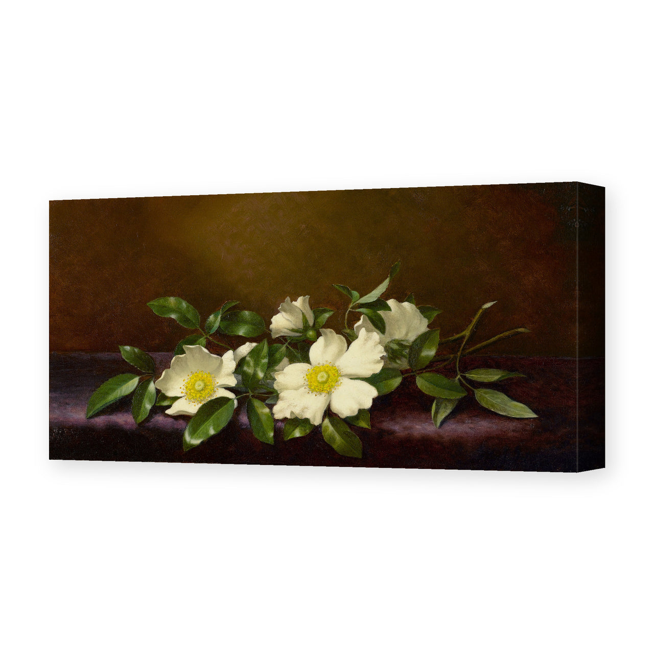 Martin Johnson Heade's 'Cherokee Roses on a Purple Cloth' painting reproduced as a gallery-wrapped canvas print
