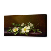 Martin Johnson Heade's 'Cherokee Roses on a Purple Cloth' painting reproduced as a gallery-wrapped canvas print