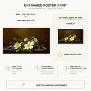Martin Johnson Heade - Cherokee Roses on a Purple Cloth poster print size comparison and framing display infographic