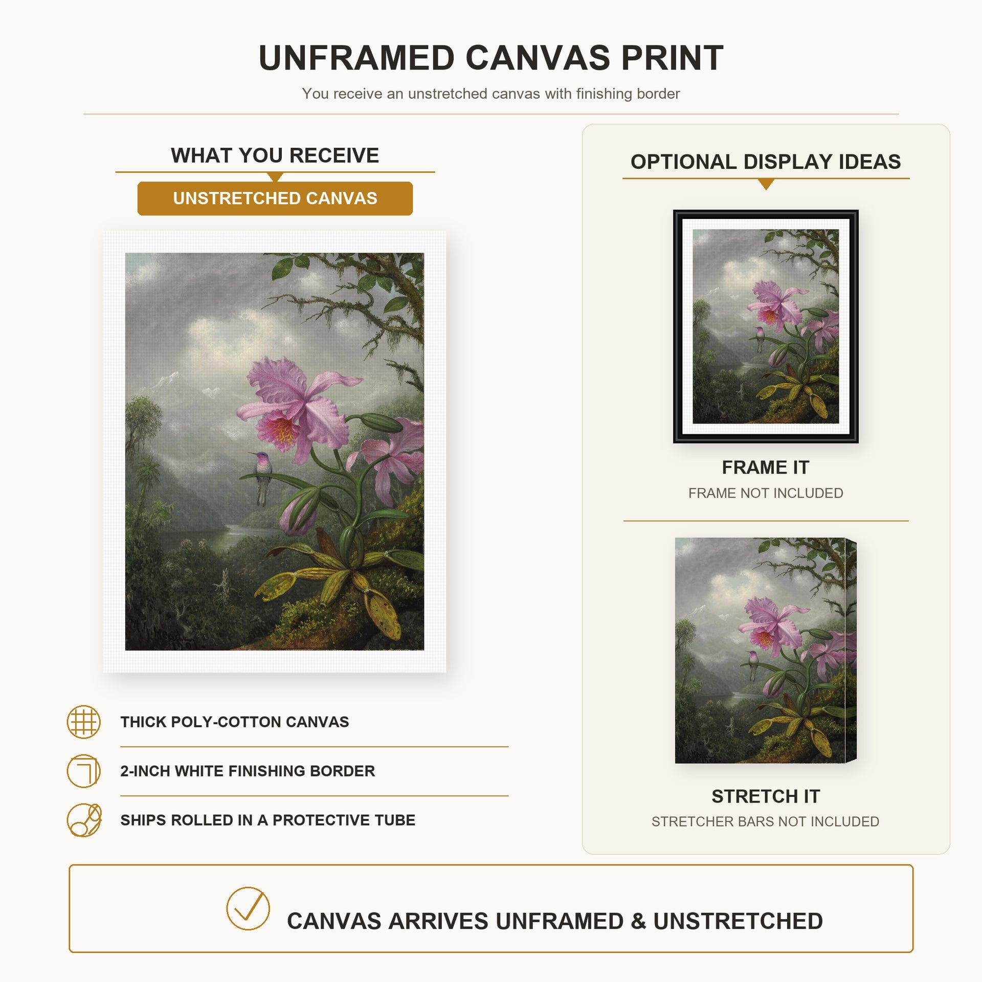 Martin Johnson Heade - Hummingbird Perched on the Orchid Plant canvas print size comparison and framing display infographic