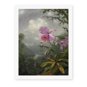 Martin Johnson Heade's 'Hummingbird Perched on the Orchid Plant' painting reproduced as a rolled canvas print