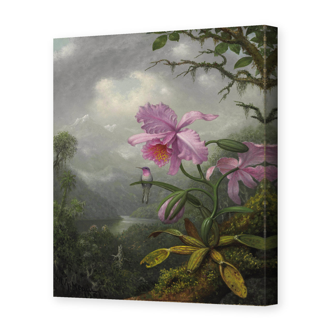 Martin Johnson Heade's 'Hummingbird Perched on the Orchid Plant' painting reproduced as a gallery-wrapped canvas print