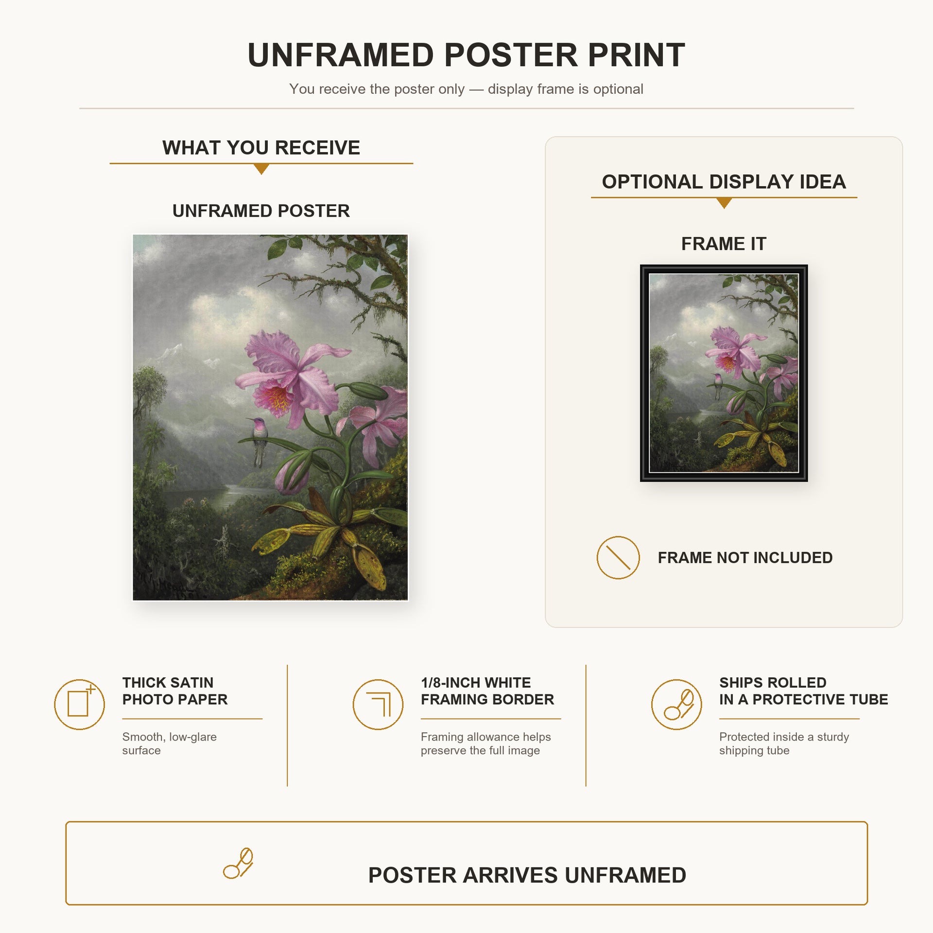 Martin Johnson Heade - Hummingbird Perched on the Orchid Plant poster print size comparison and framing display infographic